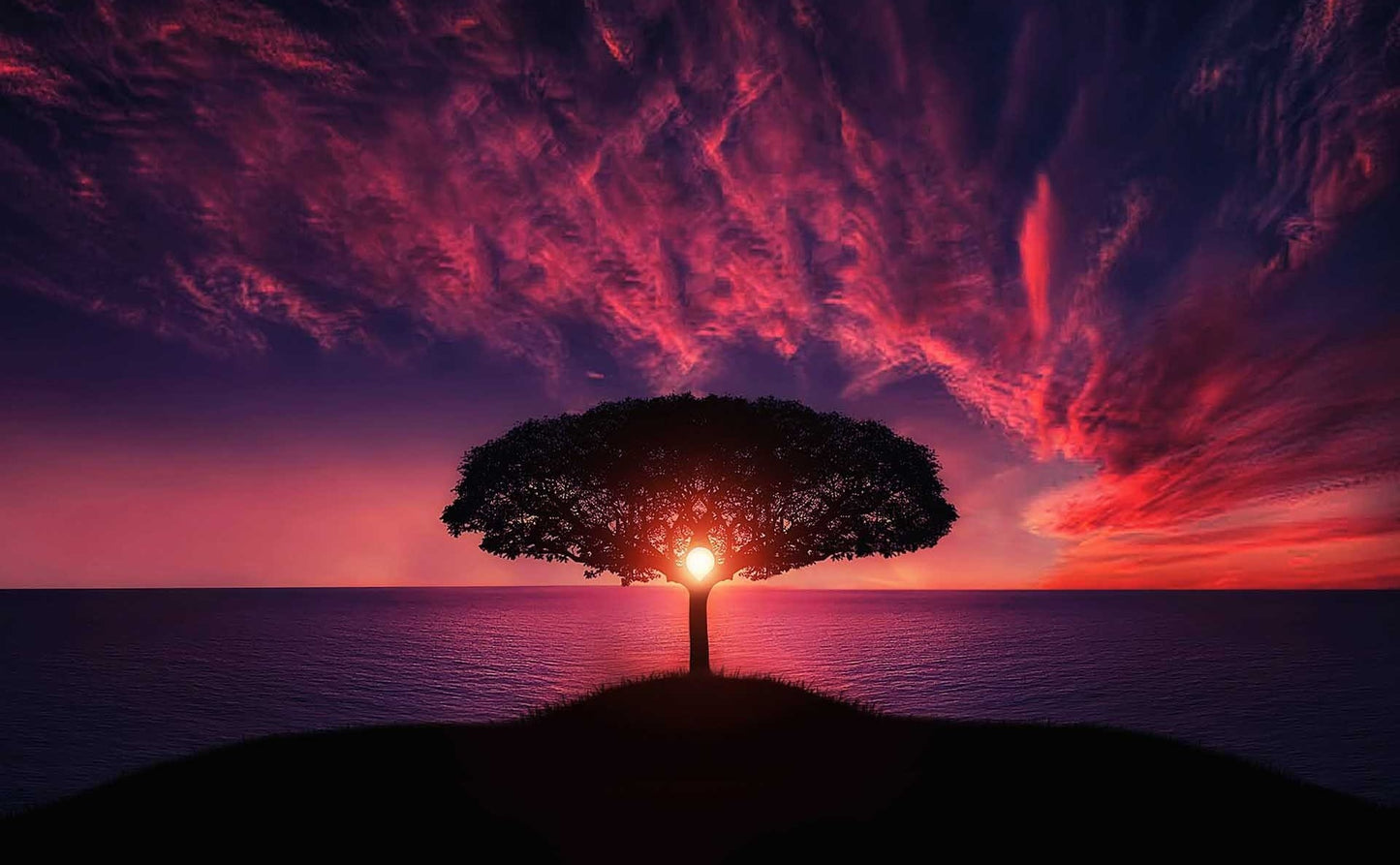Landscapes and Skylines