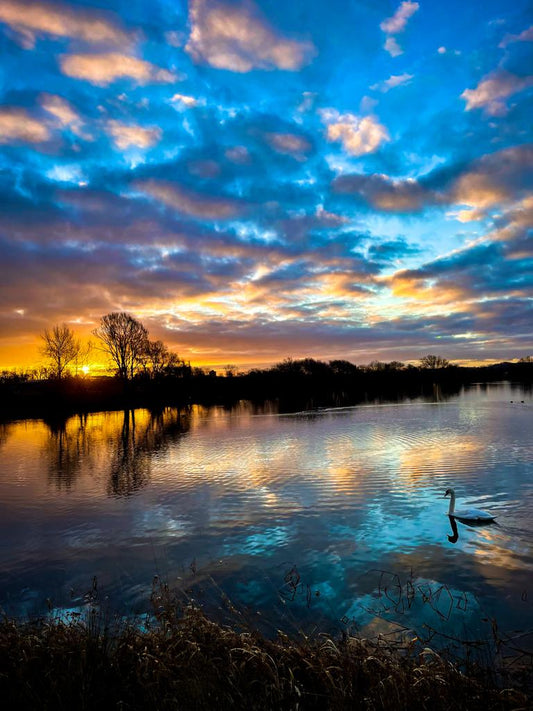Landscapes and Skylines