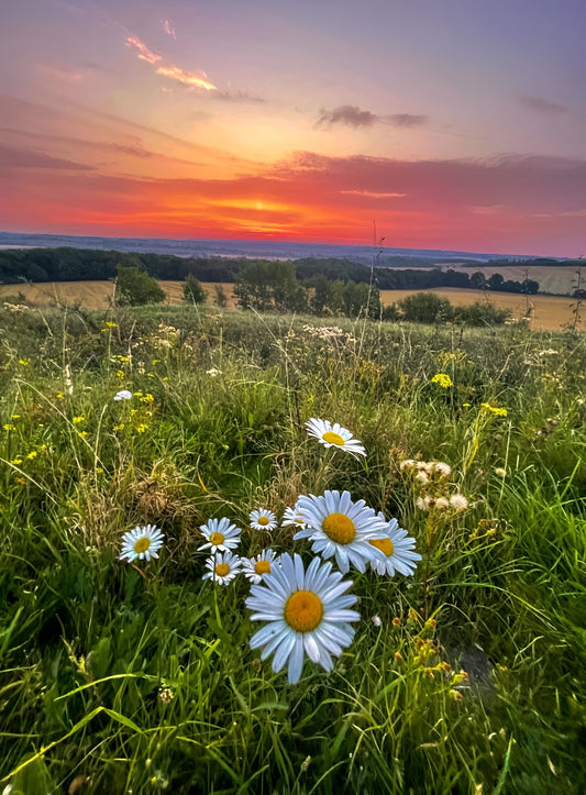 Landscapes and Skylines