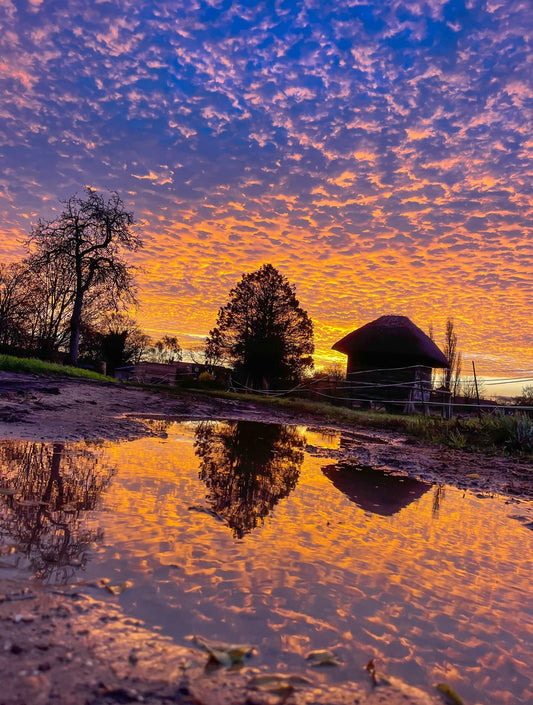 Landscapes and Skylines