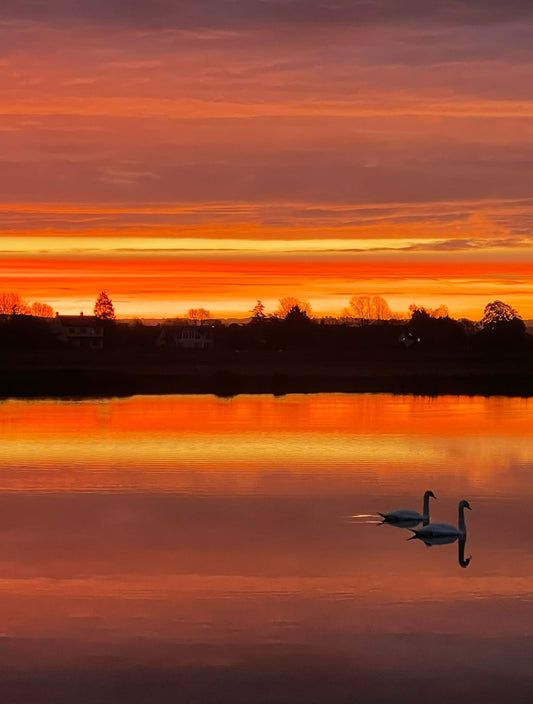 Landscapes and Skylines