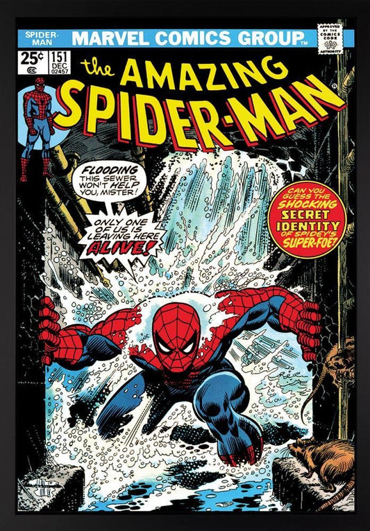 Comic Book Collection