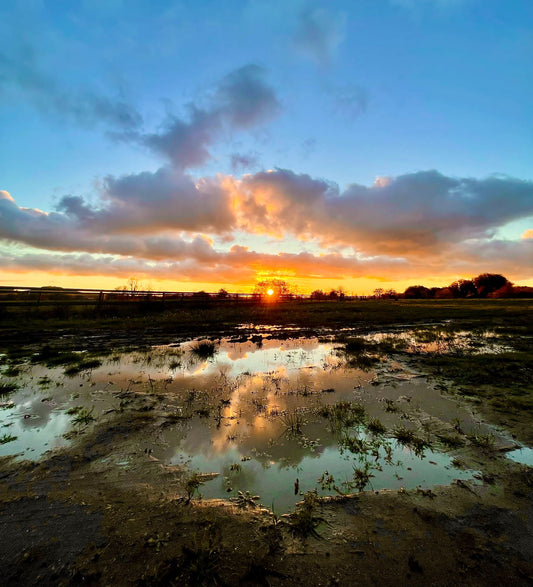 Landscapes and Skylines