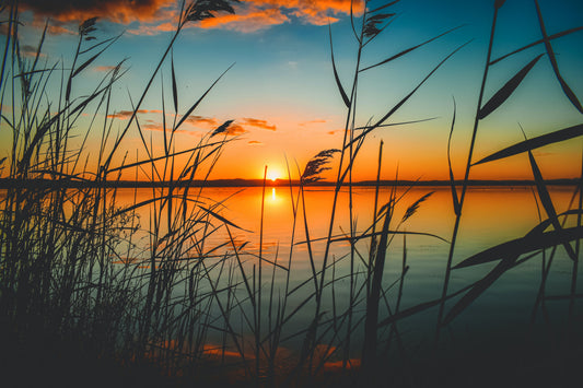 Landscapes and Skylines