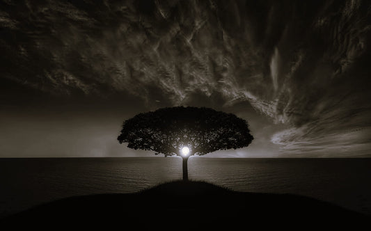 Landscapes and Skylines